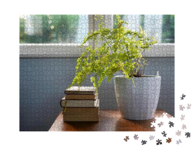 Stack of Old Books Next to Fern Pot Plant... Jigsaw Puzzle with 1000 pieces