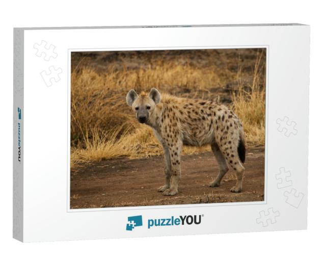 Spotted Hyena in the Savannah... Jigsaw Puzzle