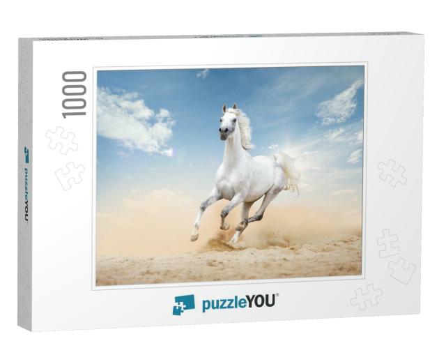 Three Arabian Horses Runs Free in Desert... Jigsaw Puzzle with 1000 pieces