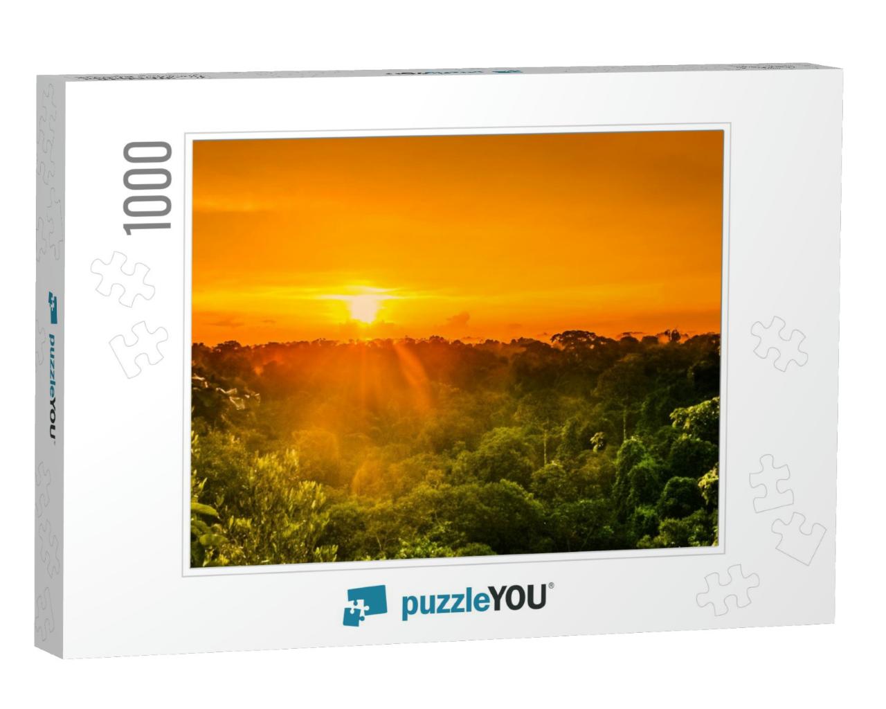 View on Sunset Over the Trees of the Rain Forest in Brazi... Jigsaw Puzzle with 1000 pieces