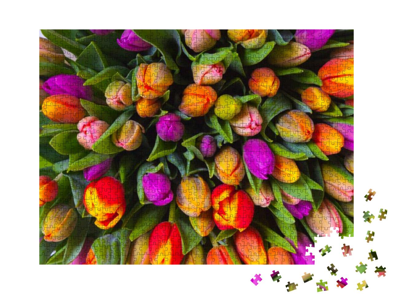 Bouquet of Multicolor Tulips. Fresh Spring Flowers... Jigsaw Puzzle with 1000 pieces