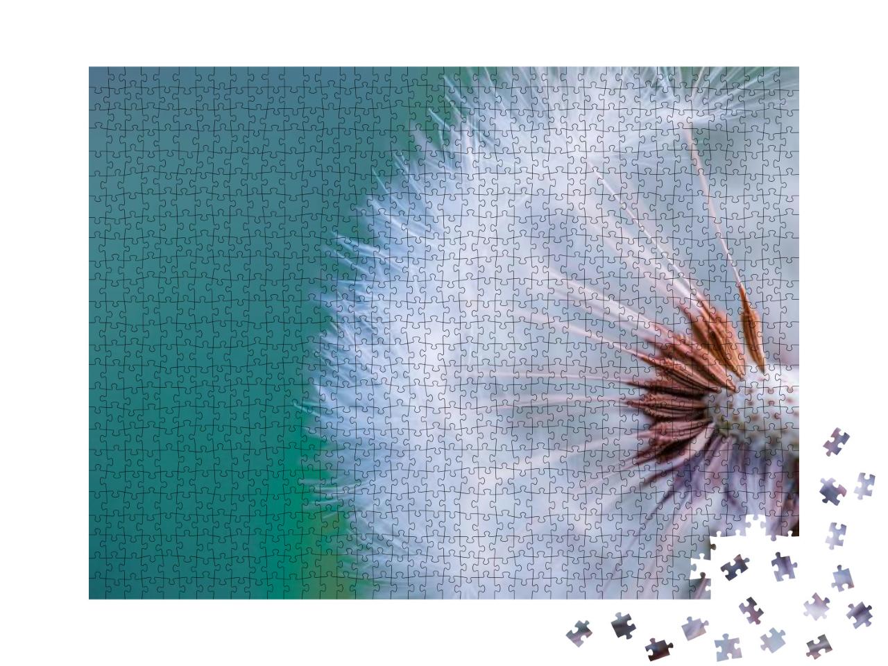 Closeup of Dandelion with Blurred Background, Artistic Na... Jigsaw Puzzle with 1000 pieces
