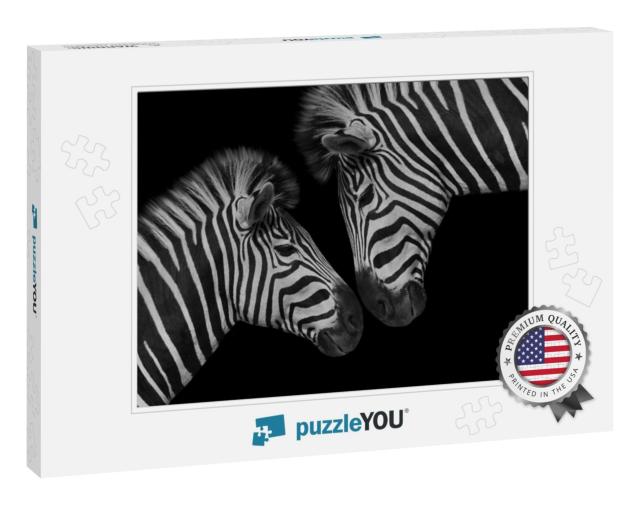 Beautiful Two Couple Zebra Closeup Face... Jigsaw Puzzle
