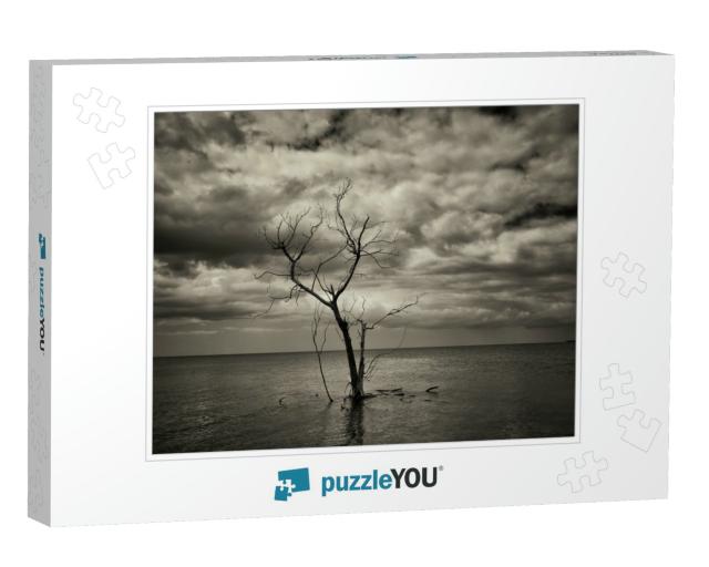 Lone Tree Off the Beach on Jewell Key in Everglades Natio... Jigsaw Puzzle