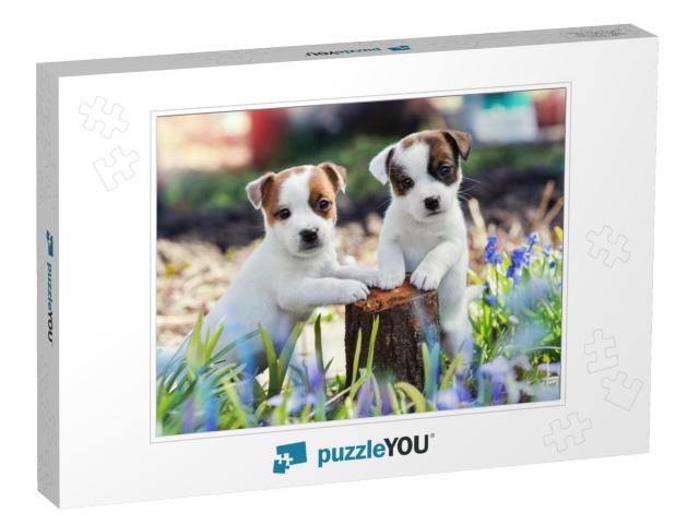 Two White Puppy Jack Russell Terrier Standing on Tree Stu... Jigsaw Puzzle