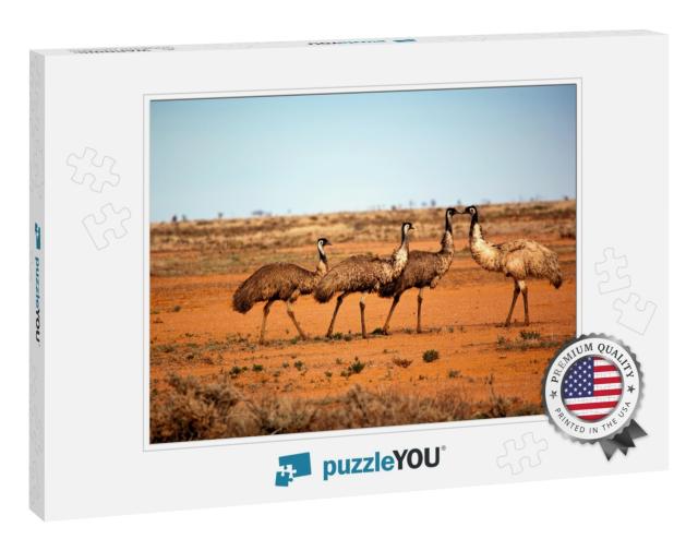 Emus in the Wild, Outback New South Wales, Australia... Jigsaw Puzzle