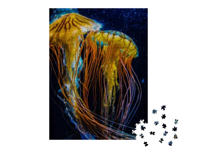 Image of Jellyfish Poison Jellyfish... Jigsaw Puzzle with 1000 pieces