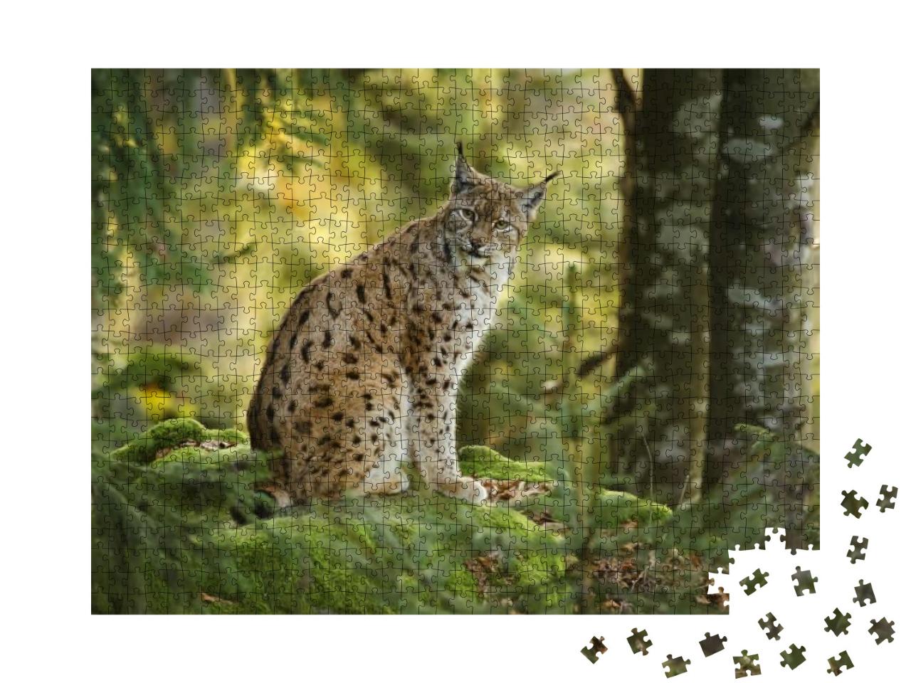 Eurasian Lynx, Lynx , Big Predator, Bavarian Forest Natio... Jigsaw Puzzle with 1000 pieces