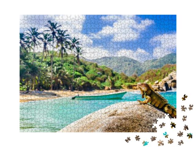View on Iguana on a Rock in National Park Tayrona in Colo... Jigsaw Puzzle with 1000 pieces