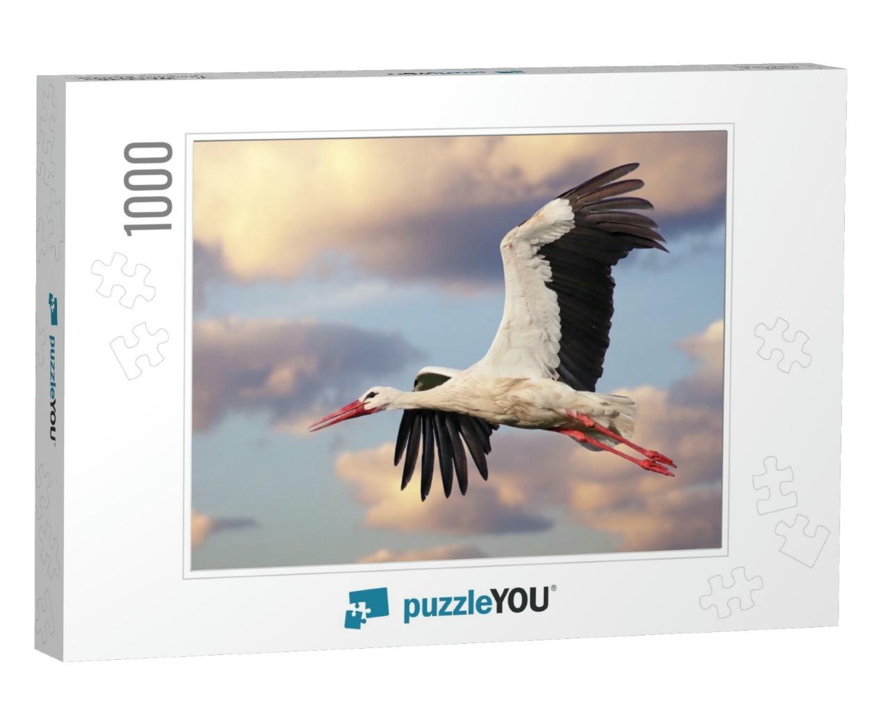 Beautiful White Stork Ciconia Ciconia in Flight with a Cl... Jigsaw Puzzle with 1000 pieces