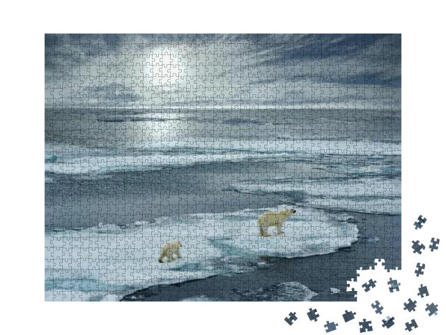 Polar Bear Sow & Cub Walk on Ice Floe in Norwegian Arctic... Jigsaw Puzzle with 1000 pieces