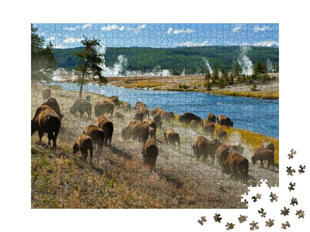 A Herd of Bison Moves Quickly Along the Firehole River in... Jigsaw Puzzle with 1000 pieces