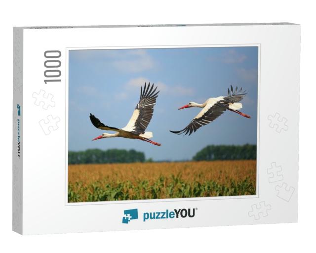 Two Storks Fly Over a Field... Jigsaw Puzzle with 1000 pieces