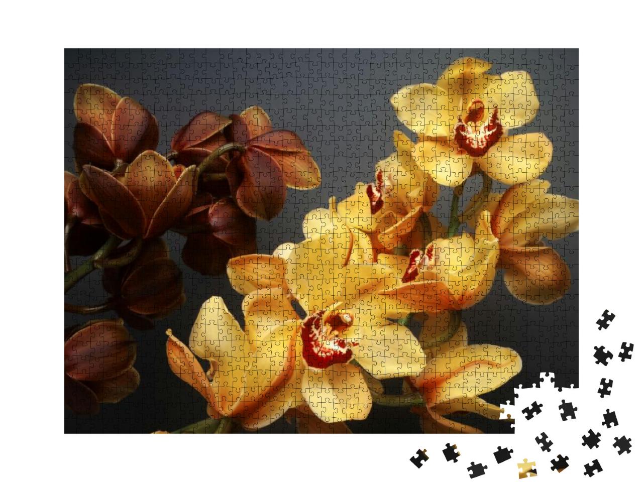 Composition of Beautiful Yellow & Brown Cymbidium Orchid... Jigsaw Puzzle with 1000 pieces