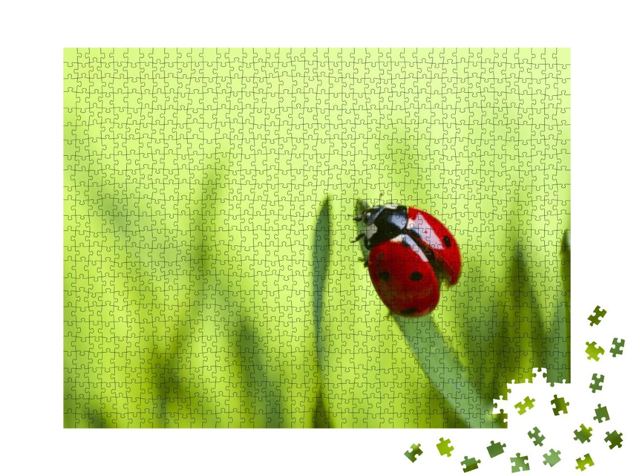Ladybug on Leaf... Jigsaw Puzzle with 1000 pieces