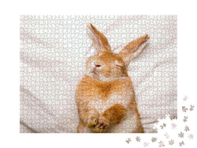 Funny Rabbit Sleeps on White Blanket in the Bed. Easter S... Jigsaw Puzzle with 1000 pieces