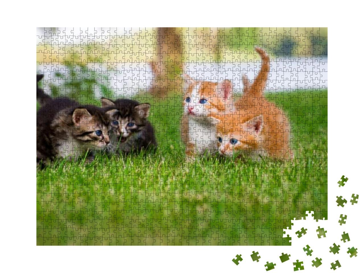 Four Little Kittens Playing in Garden Together... Jigsaw Puzzle with 1000 pieces