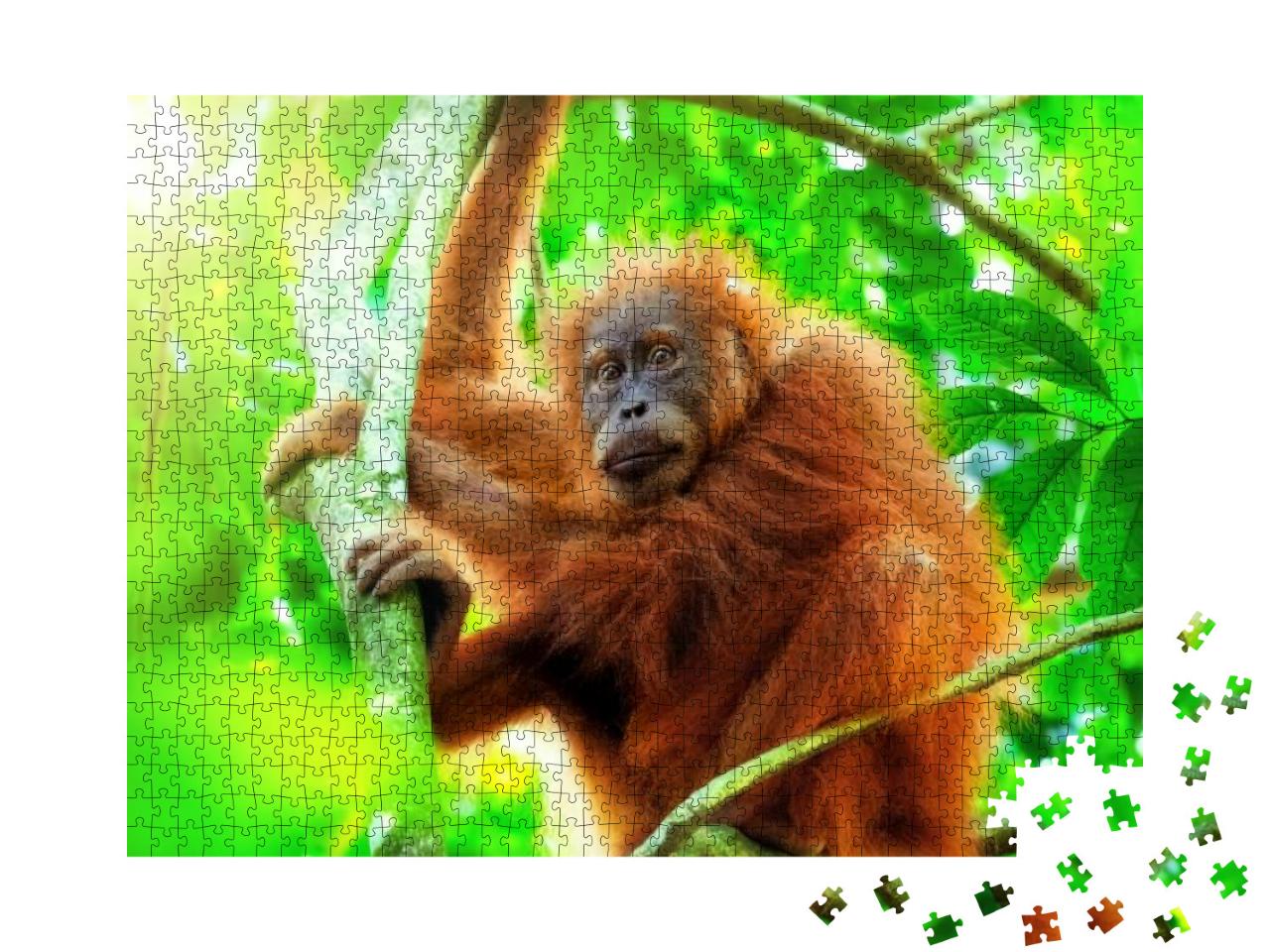 Cute Baby Orangutan Hanging on Branch & Looking Around Ag... Jigsaw Puzzle with 1000 pieces