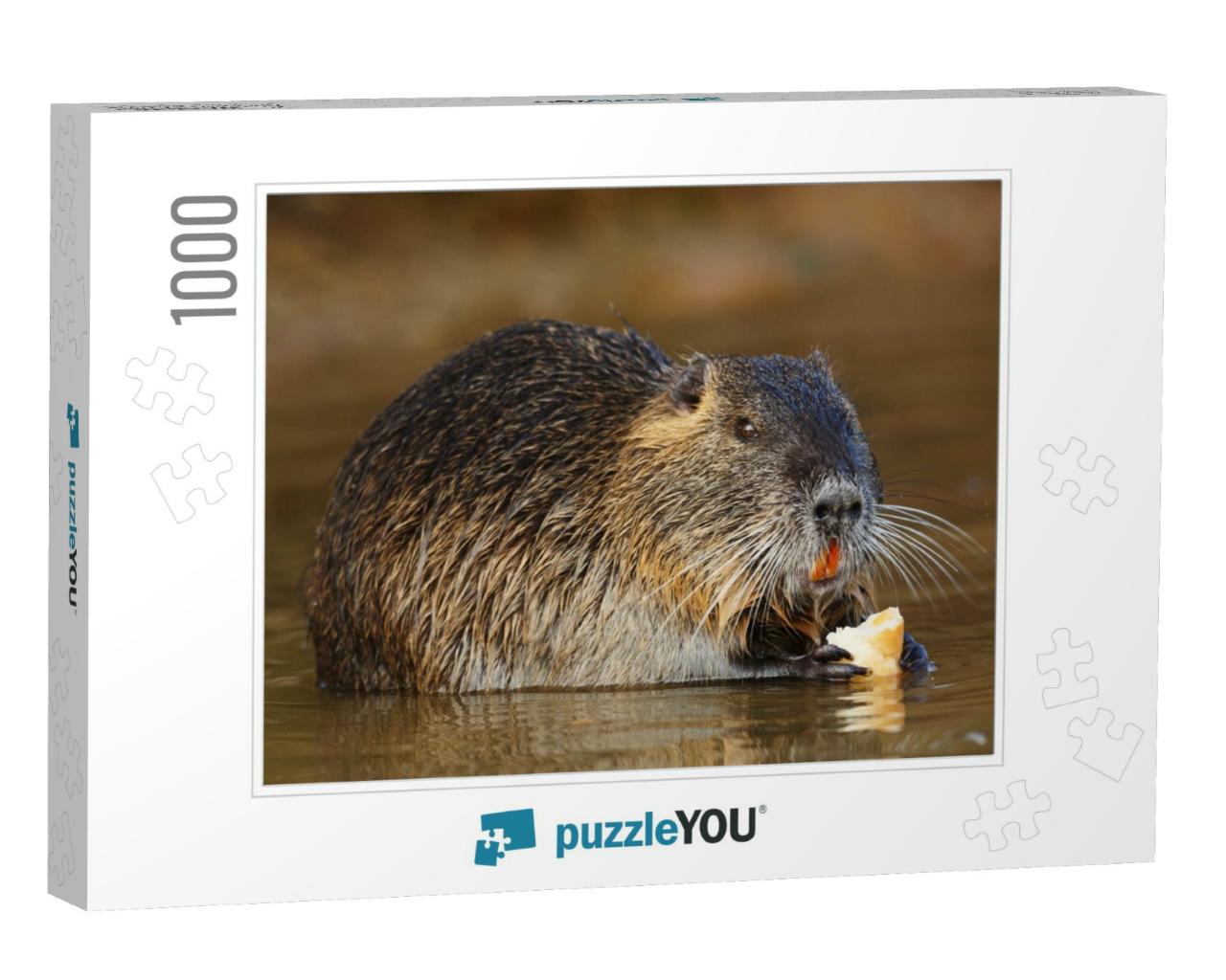 Coypu is Eating... Jigsaw Puzzle with 1000 pieces