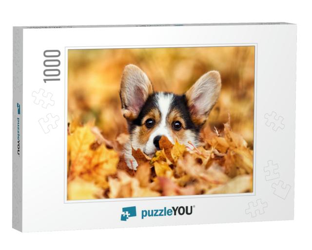 Welsh Corgi Puppy in Autumn Leaves... Jigsaw Puzzle with 1000 pieces