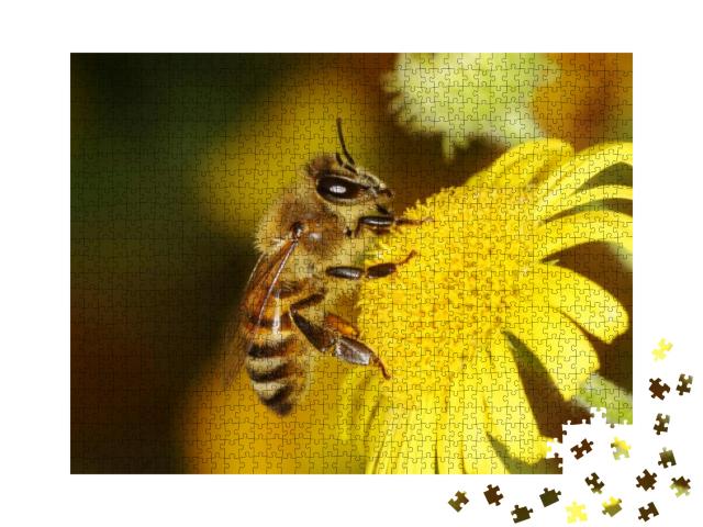 Honey Bee, Bee... Jigsaw Puzzle with 1000 pieces