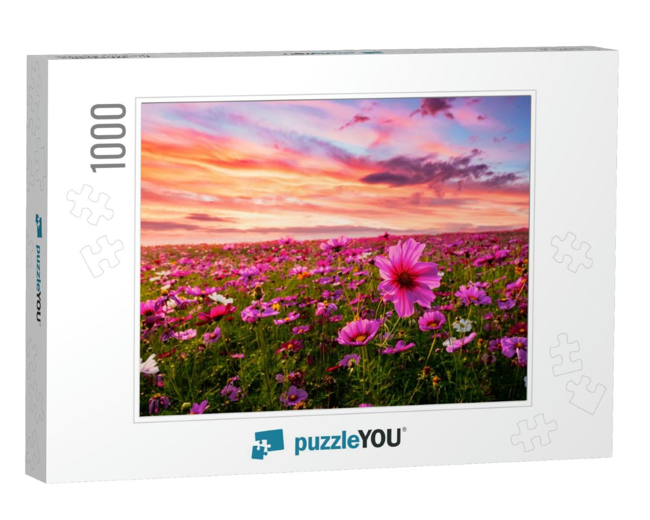 Beautiful & Amazing of Cosmos Flower Field Landscape in S... Jigsaw Puzzle with 1000 pieces