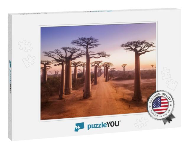 Beautiful Baobab Trees At Sunset At the Avenue of the Bao... Jigsaw Puzzle