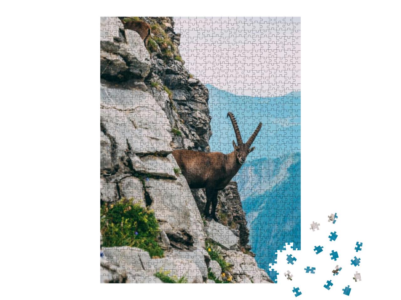 Alpine Capricorn Steinbock Capra Ibex in the Mountain Sce... Jigsaw Puzzle with 1000 pieces