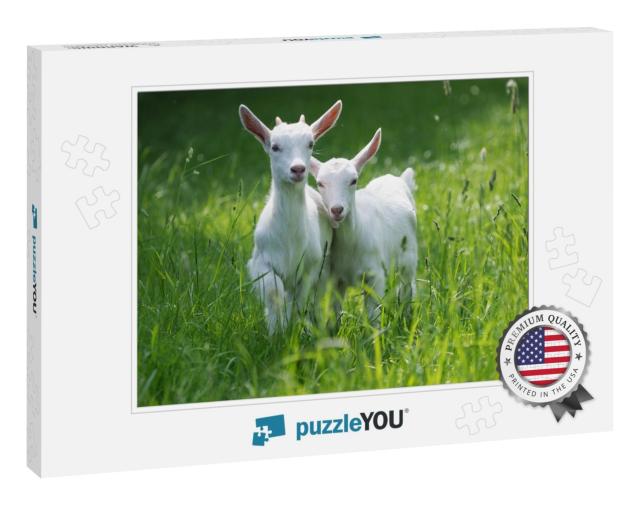Two Baby Goat Kids Stand in Long Summer Grass... Jigsaw Puzzle