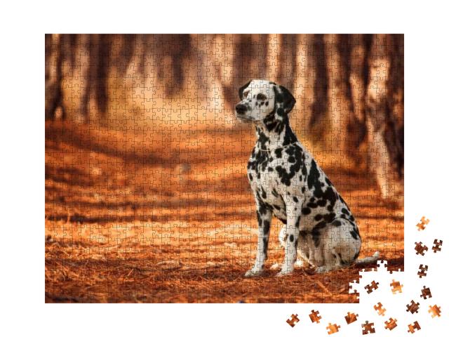 Dog Breed Dalmatian for a Walk... Jigsaw Puzzle with 1000 pieces