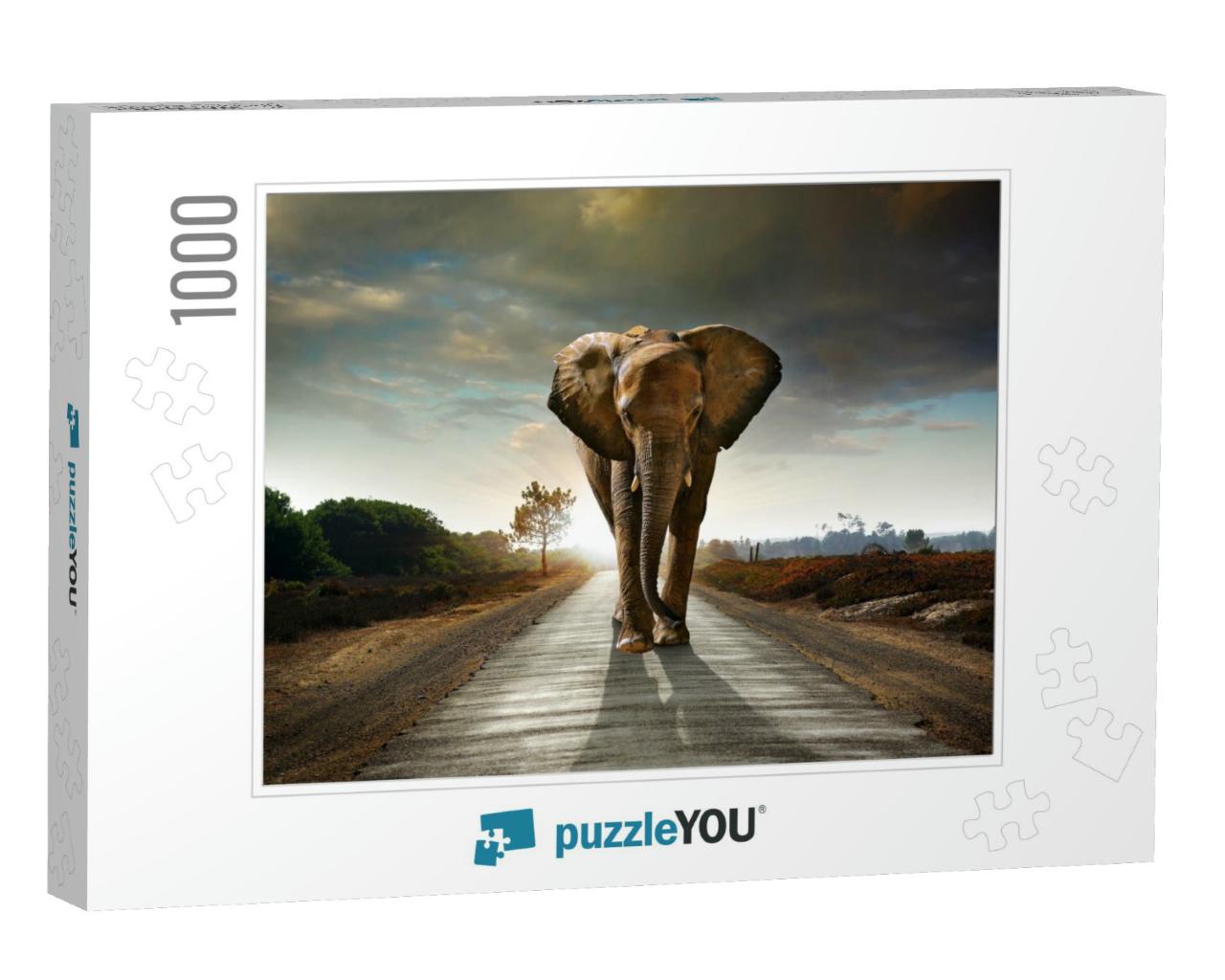 Single Elephant Walking in a Road with the Sun from Behin... Jigsaw Puzzle with 1000 pieces