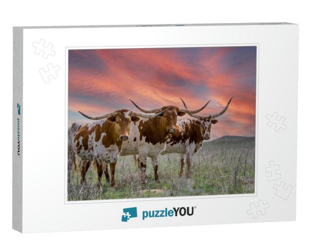 Texas Longhorn Cattle At Sunset in a Pasture in the Oklah... Jigsaw Puzzle
