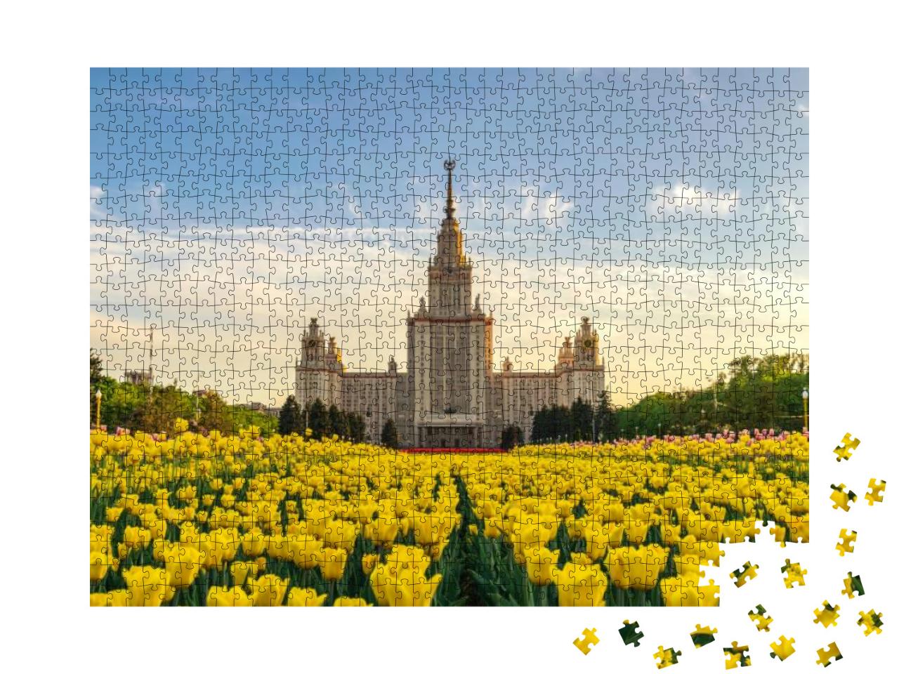 Moscow Russia, Spring Tulip Flowers At Lomonosov Moscow S... Jigsaw Puzzle with 1000 pieces