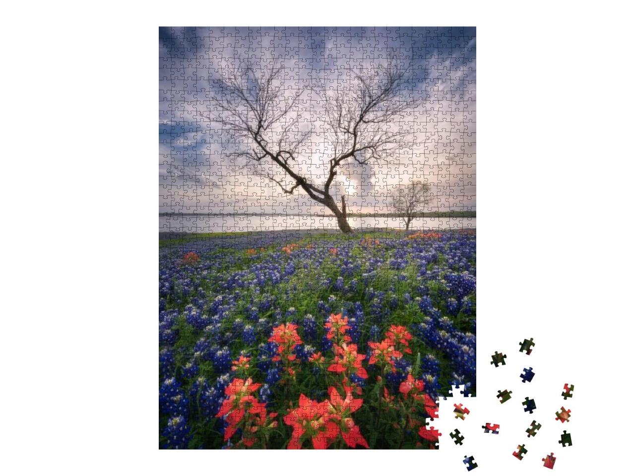 Wild Flower Bluebonnet in Ennis City, Texas, USA , Sunset... Jigsaw Puzzle with 1000 pieces