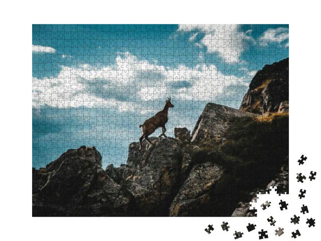 Young Chamois from Italian Alps... Jigsaw Puzzle with 1000 pieces