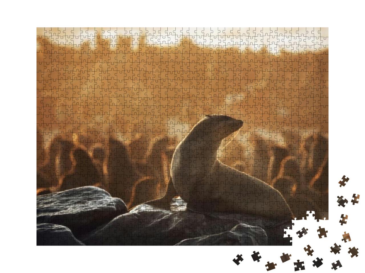 Sunset View of Cape Cross Seal Reserve in the South Atlan... Jigsaw Puzzle with 1000 pieces