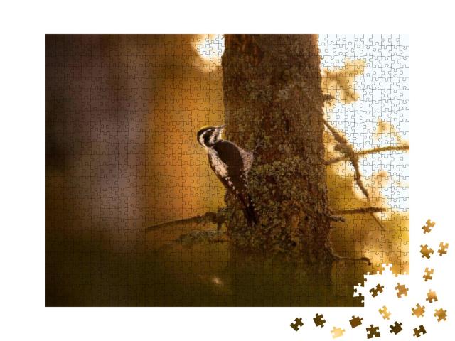 Three Toed Woodpecker Picoides Tridactylus on a Tree Look... Jigsaw Puzzle with 1000 pieces