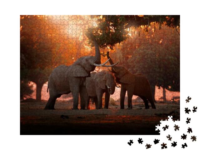 Elephant Feeding Tree Branch. Elephant At Mana Pools Np... Jigsaw Puzzle with 1000 pieces