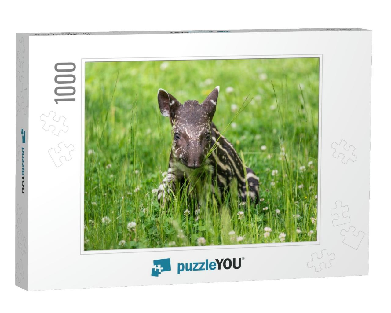 Nine Days Old Baby of the Endangered South American Tapir... Jigsaw Puzzle with 1000 pieces