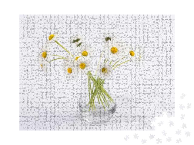 Small Daisy Flowers in Glass Vase Isolated on White Backg... Jigsaw Puzzle with 1000 pieces