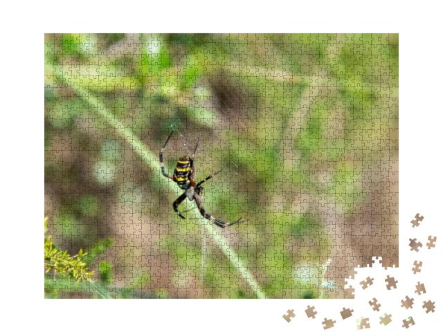 Yellow Garden Spider on Spider Web... Jigsaw Puzzle with 1000 pieces