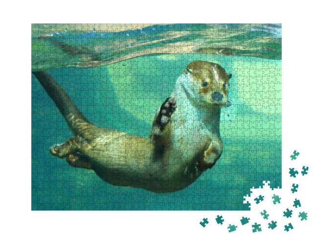 The European Otter - Lutra Lutra Playing & Hunting Underw... Jigsaw Puzzle with 1000 pieces