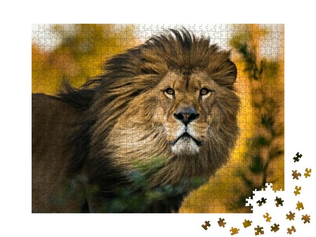Lion King Portrait... Jigsaw Puzzle with 1000 pieces