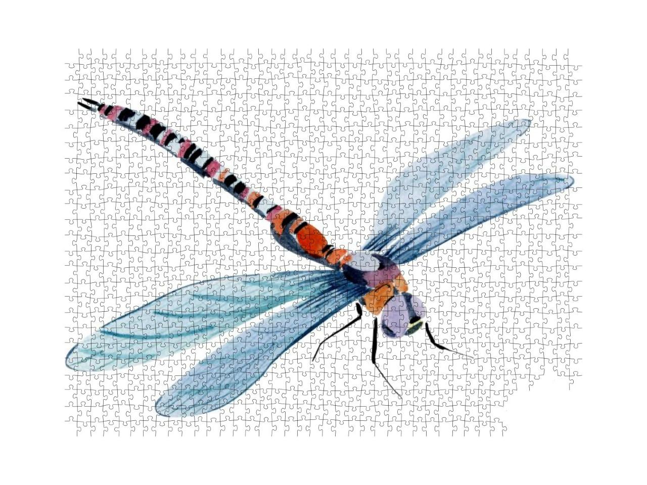 Handwork Watercolor Illustration of an Insect Drag... Jigsaw Puzzle with 1000 pieces