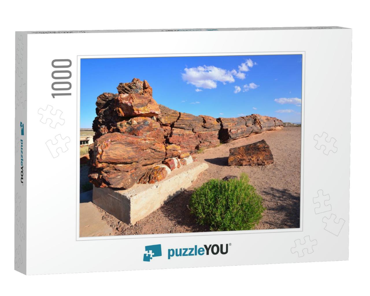 Usa, Petrified Forest National Park... Jigsaw Puzzle with 1000 pieces