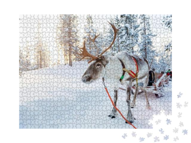 Reindeer in a Winter Forest in Finnish Lapland... Jigsaw Puzzle with 1000 pieces