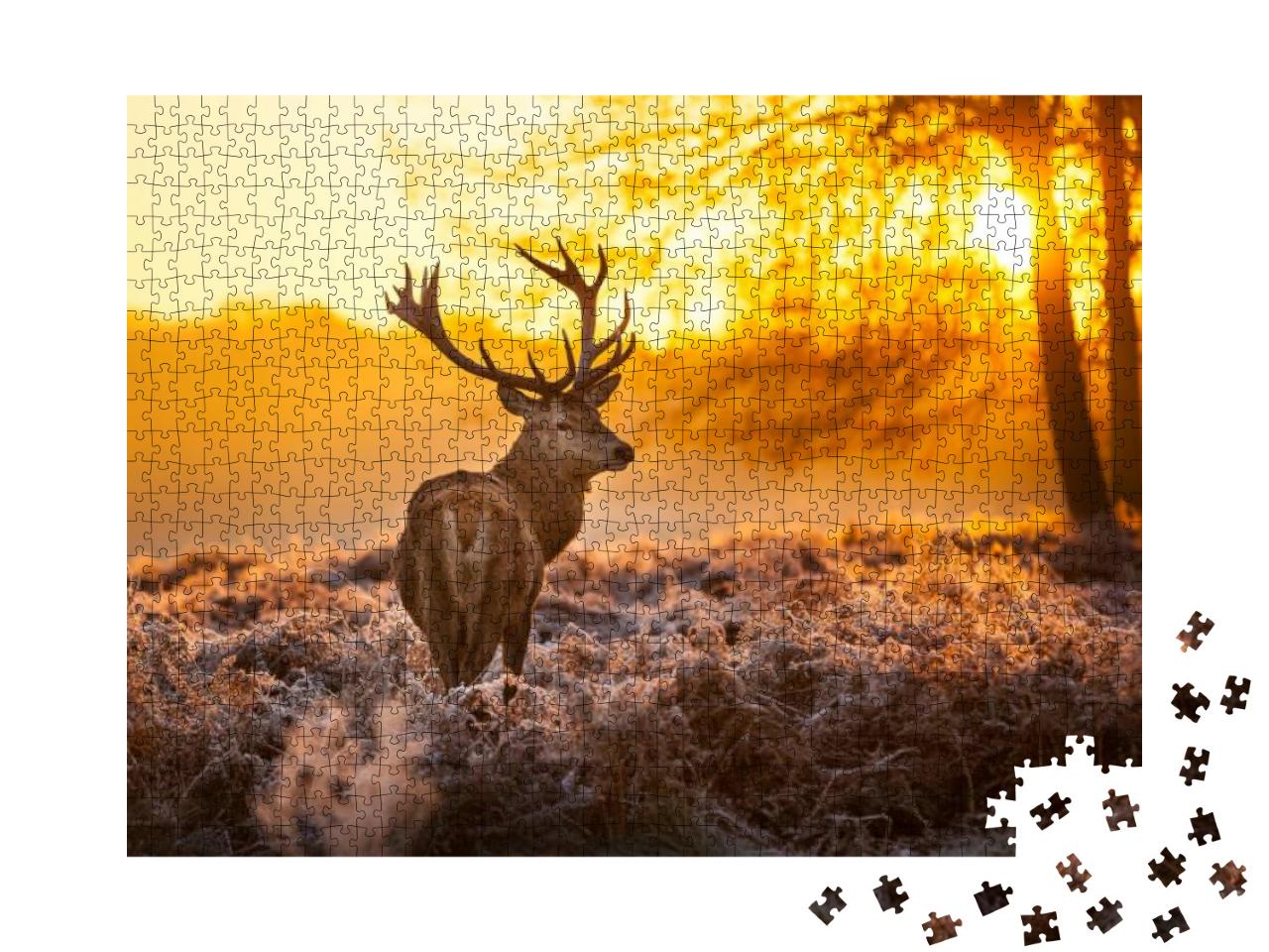 Red Deer in Morning Sun... Jigsaw Puzzle with 1000 pieces