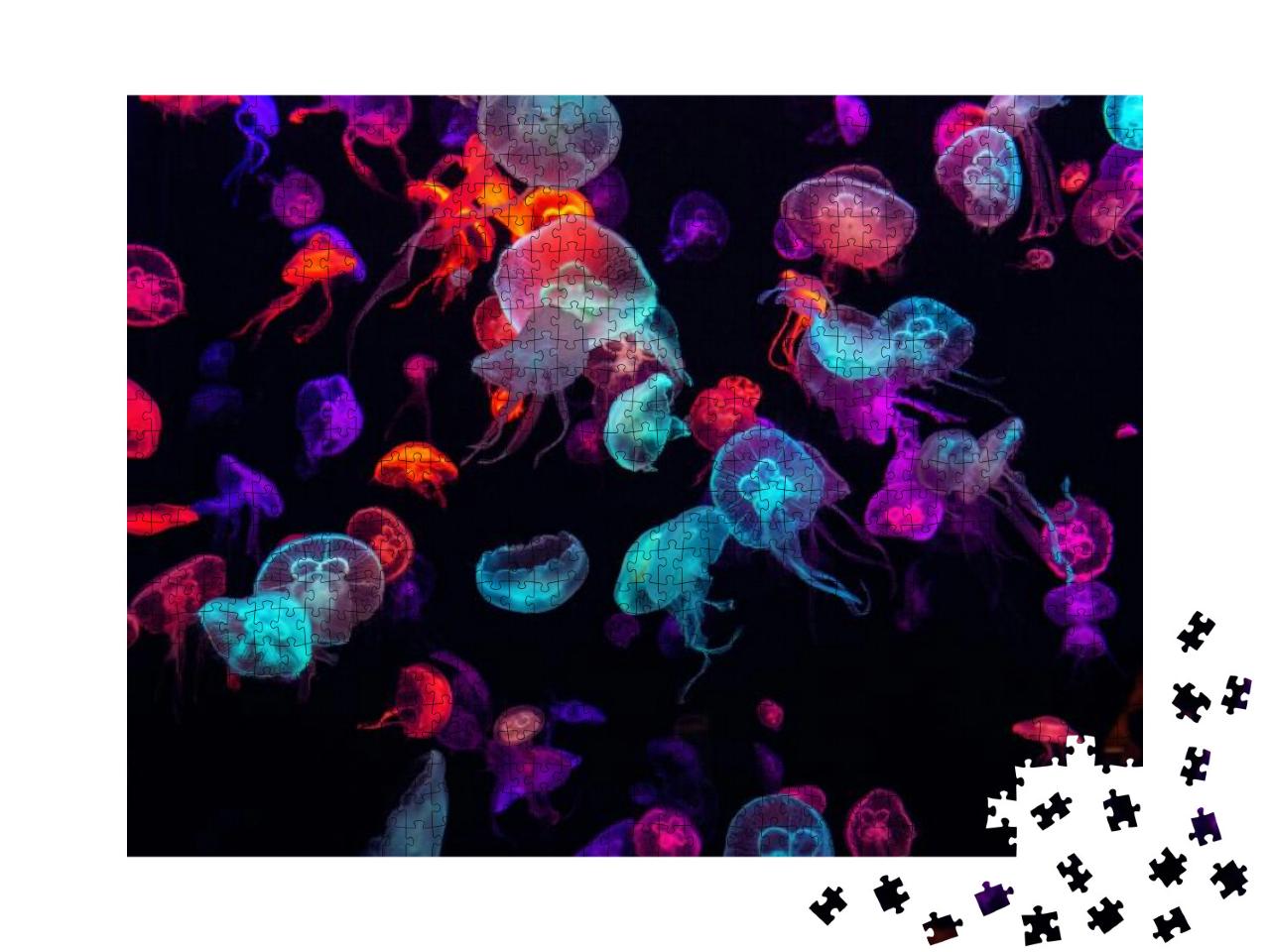 Colorful Jellyfish Underwater. Jellyfish Moving in Water... Jigsaw Puzzle with 1000 pieces