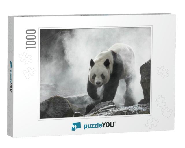 Giant Panda in the Fog... Jigsaw Puzzle with 1000 pieces