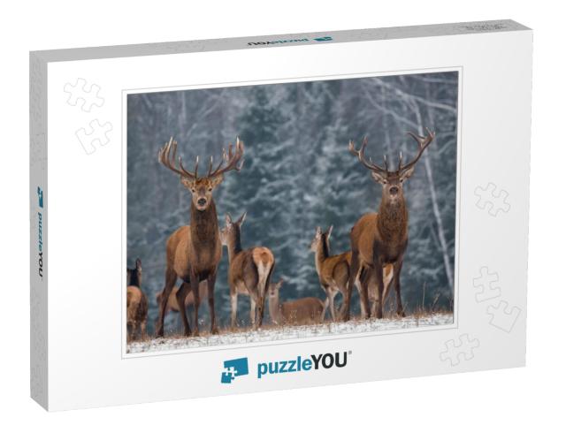 Twins. Winter Wildlife Landscape with Two Noble Deer Cerv... Jigsaw Puzzle